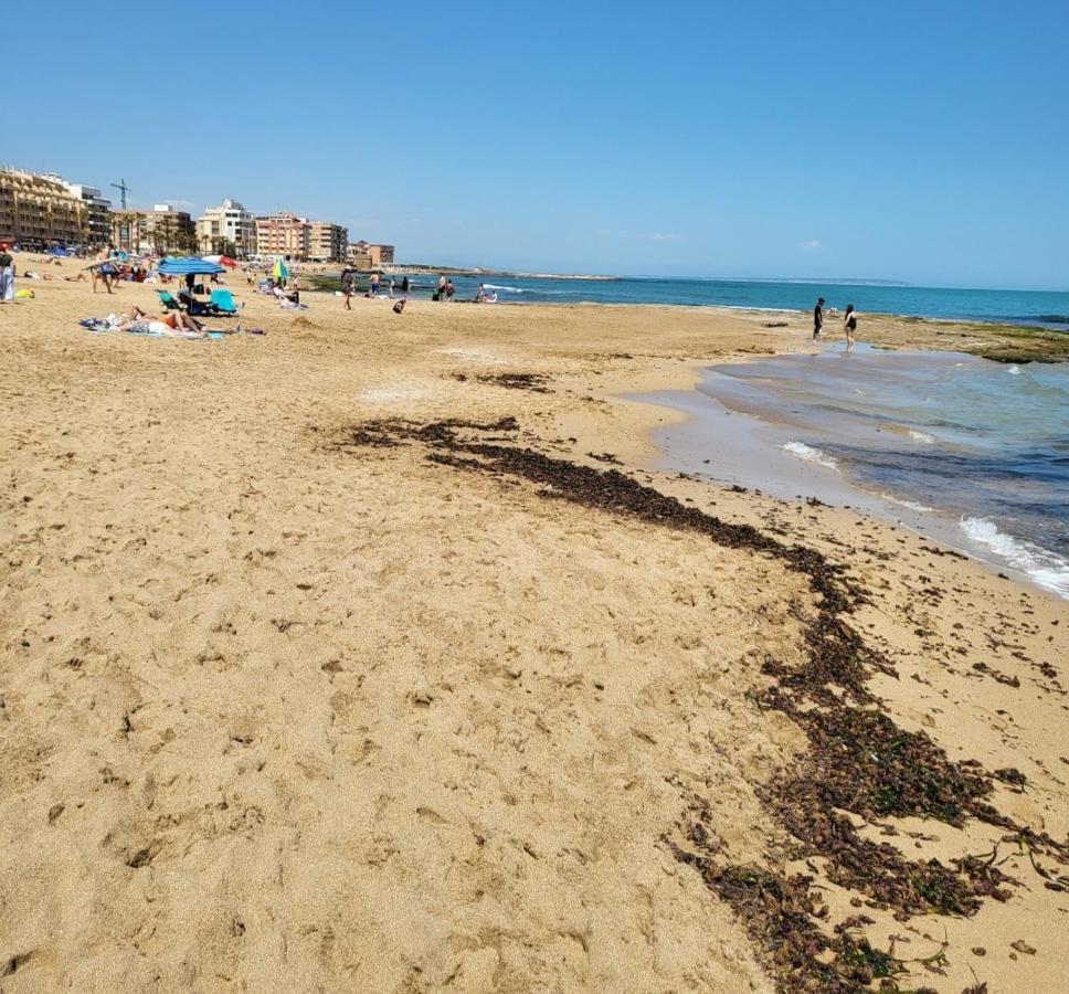 Luna Blanca, La Mata, 300 M From The Sea And Sandy Swimming Pool * La Mata (Torrevieja)