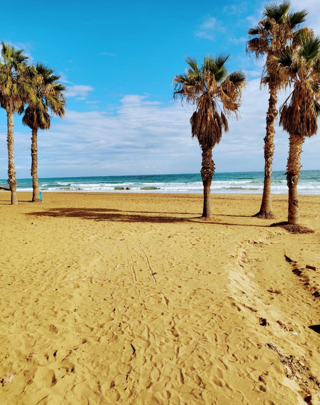 Apartment Luna Blanca, La Mata, 300 M From The Sea And Sandy Swimming Pool *